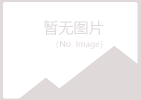 北京丰台白山冶炼有限公司